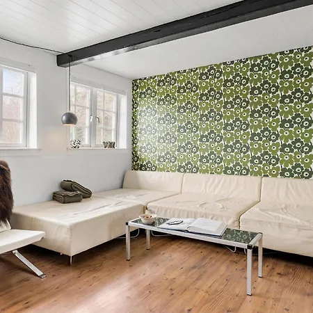 Cozy In With Kitchen Feriehus Faaborg